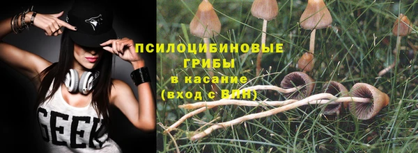 прущие грибы Алексеевка