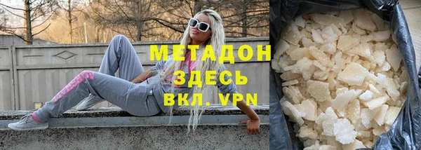 прущие грибы Алексеевка