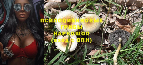 спиды Алексин
