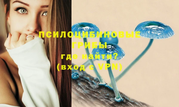 эйфоретик Алзамай