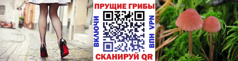 Псилоцибиновые грибы мицелий  Купить  Шахты 
